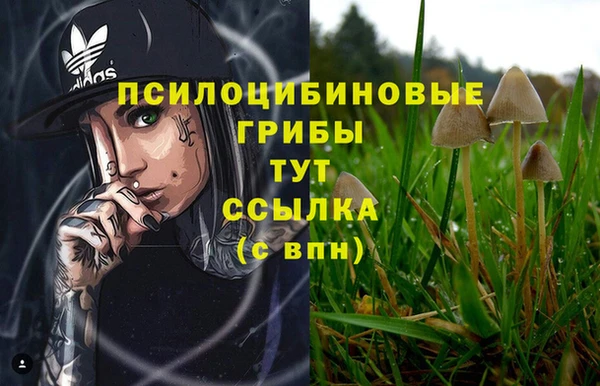 ECSTASY Видное