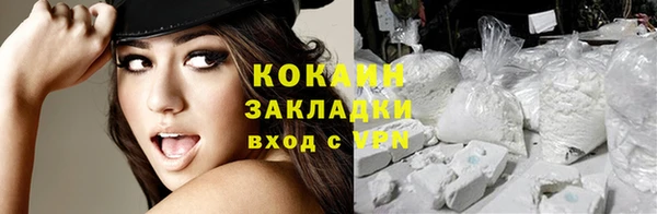 индика Зеленокумск