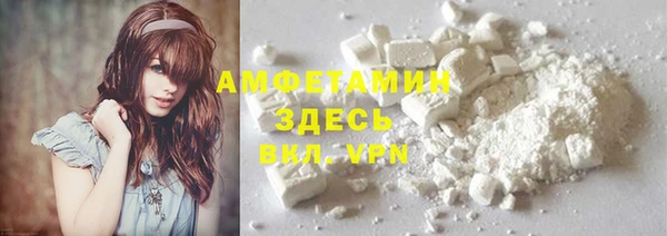 индика Зеленокумск