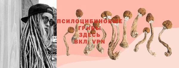 индика Зеленокумск