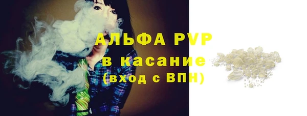 индика Зеленокумск