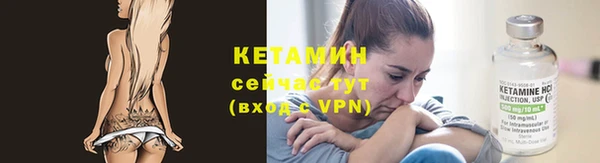 индика Зеленокумск
