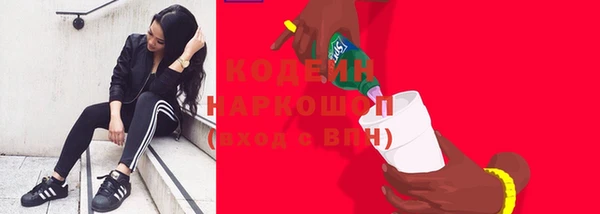 индика Зеленокумск
