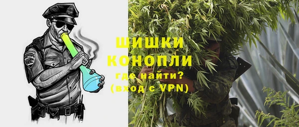 индика Зеленокумск