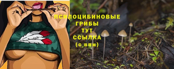 индика Зеленокумск