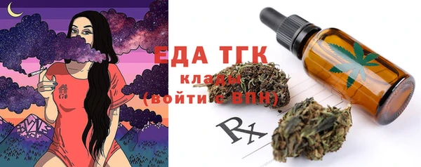 индика Зеленокумск