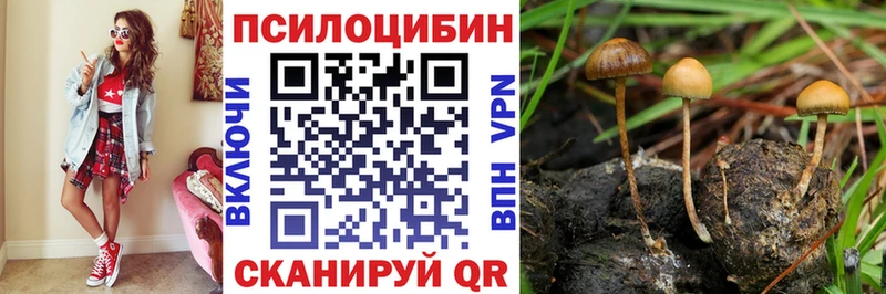 Галлюциногенные грибы GOLDEN TEACHER  где купить наркоту  Калтан 
